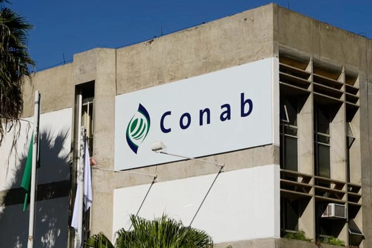 Concurso Conab: inscrições para 403 vagas e salários de até R$ 8,1 mil terminam nesta quinta