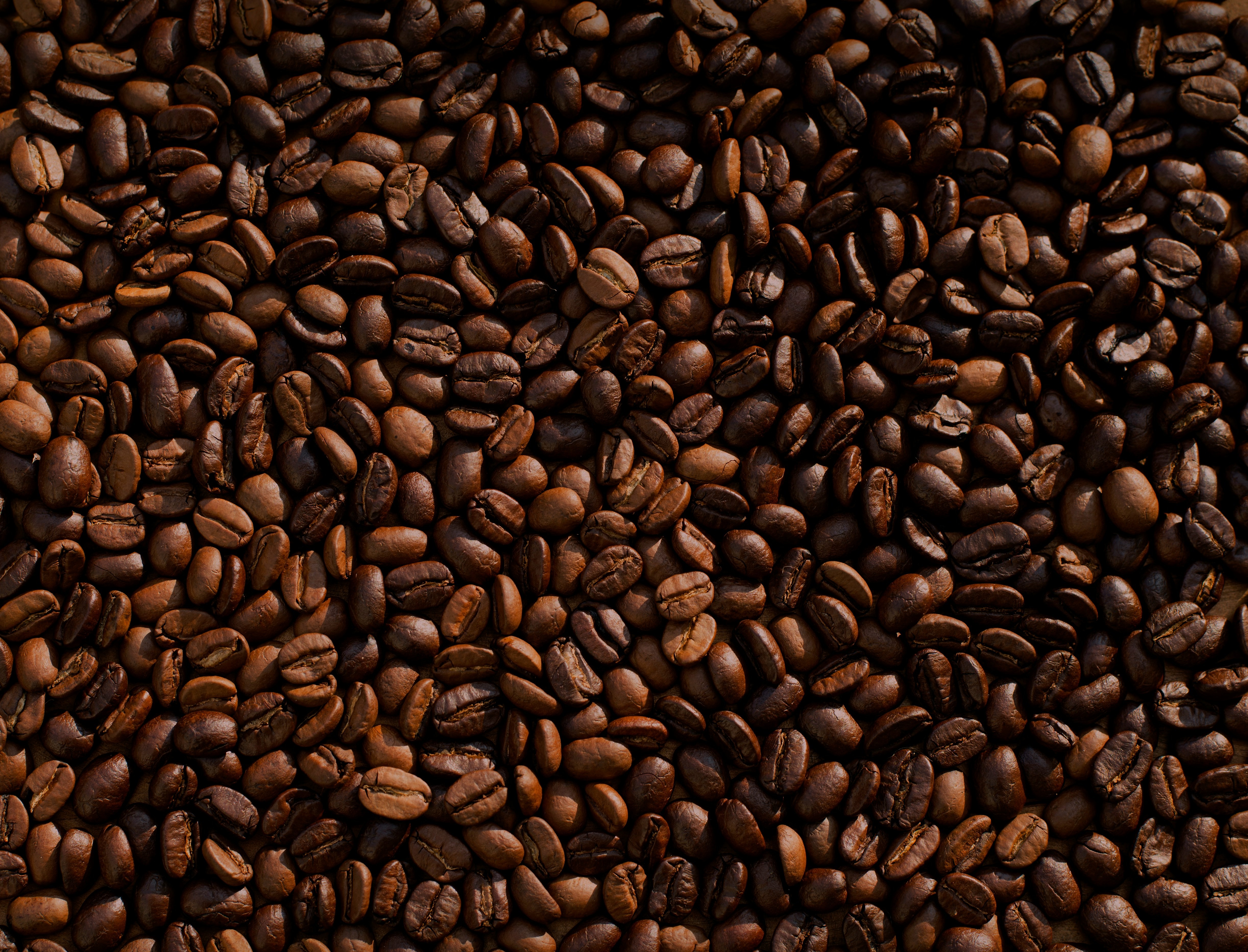 Café bom do Brasil vai todo para fora? De onde vem essa ideia e como o Tarcísio Meira ajudou a mudar essa imagem
