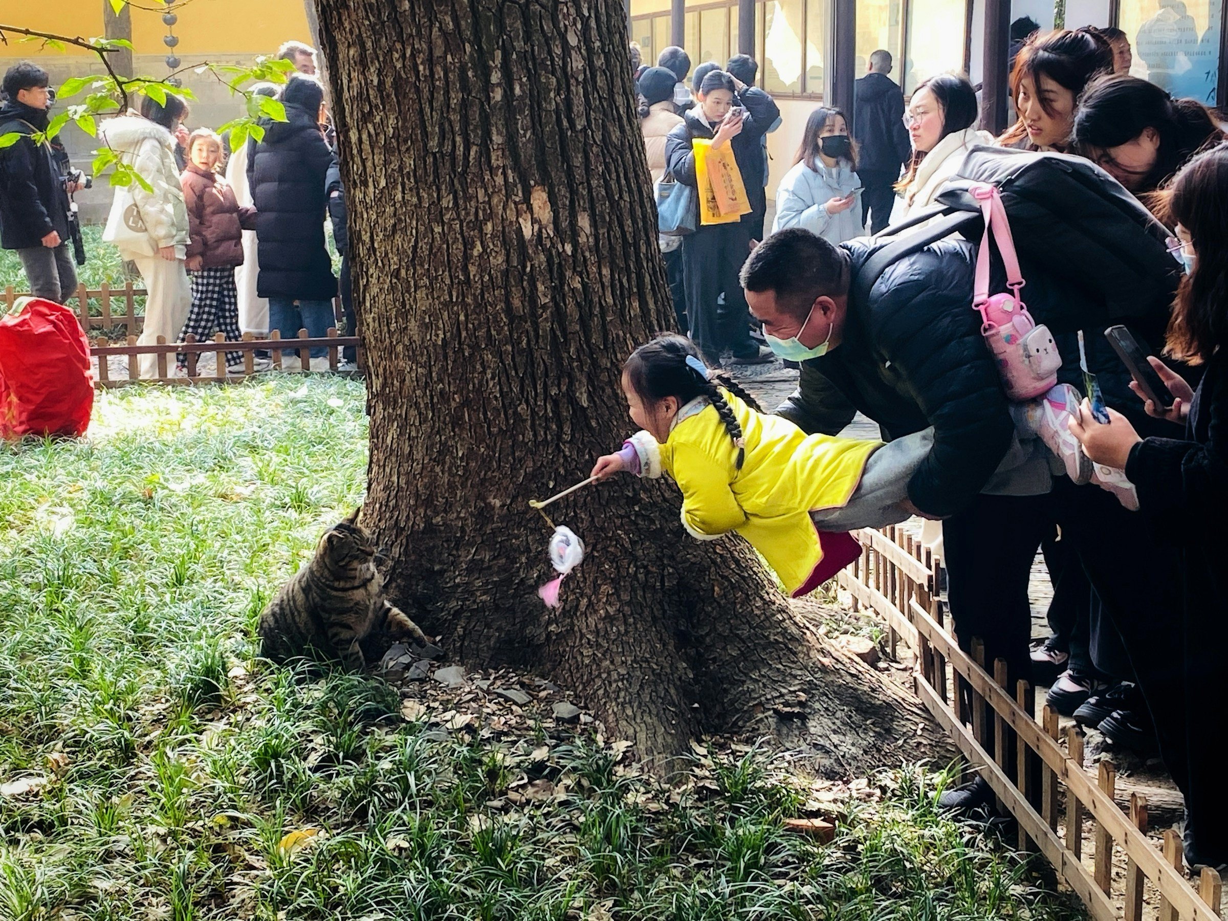 China adota novo plano para aumentar natalidade: R$ 2.700 por ano por criança