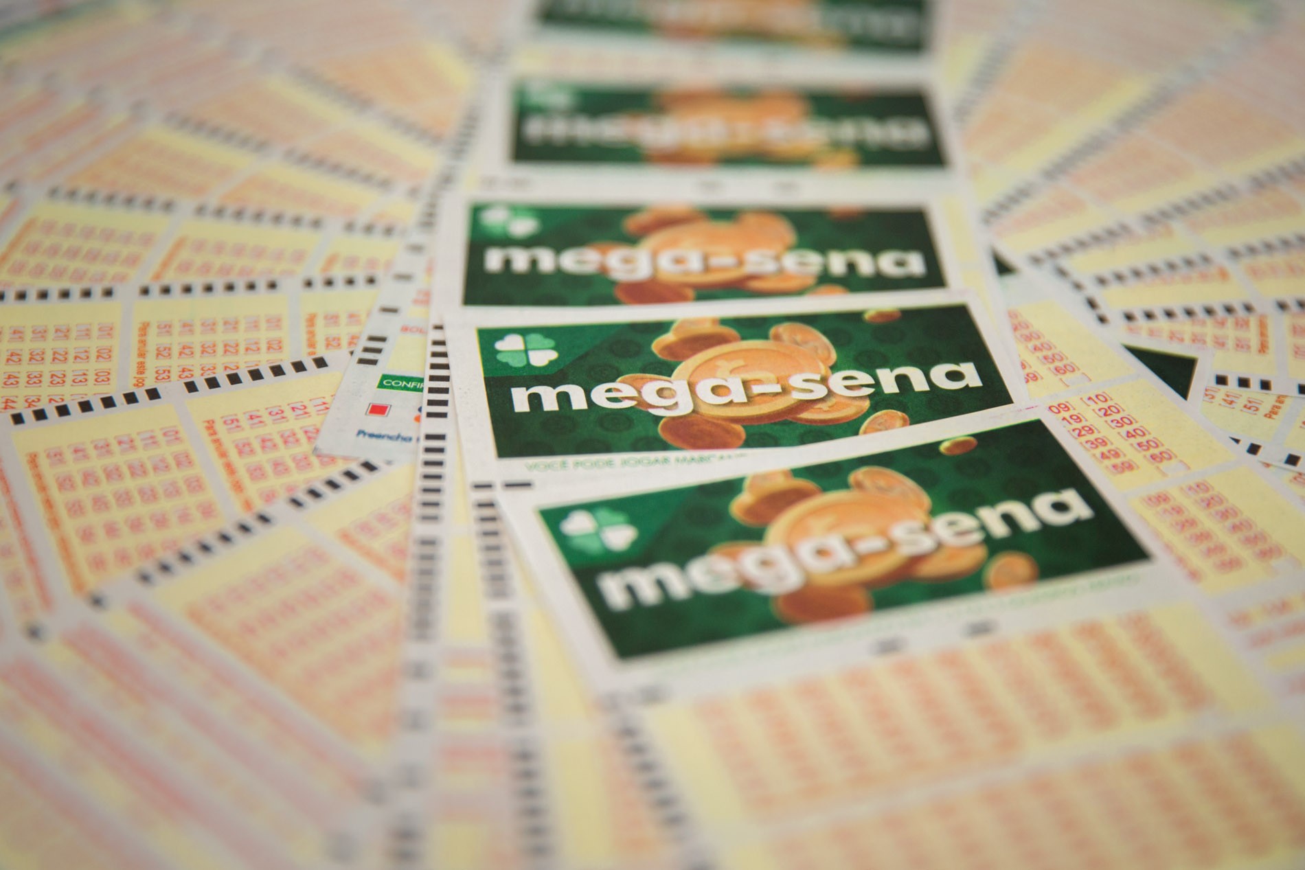 Mega-Sena, concurso 2.891: prêmio acumula e vai a R$ 36 milhões