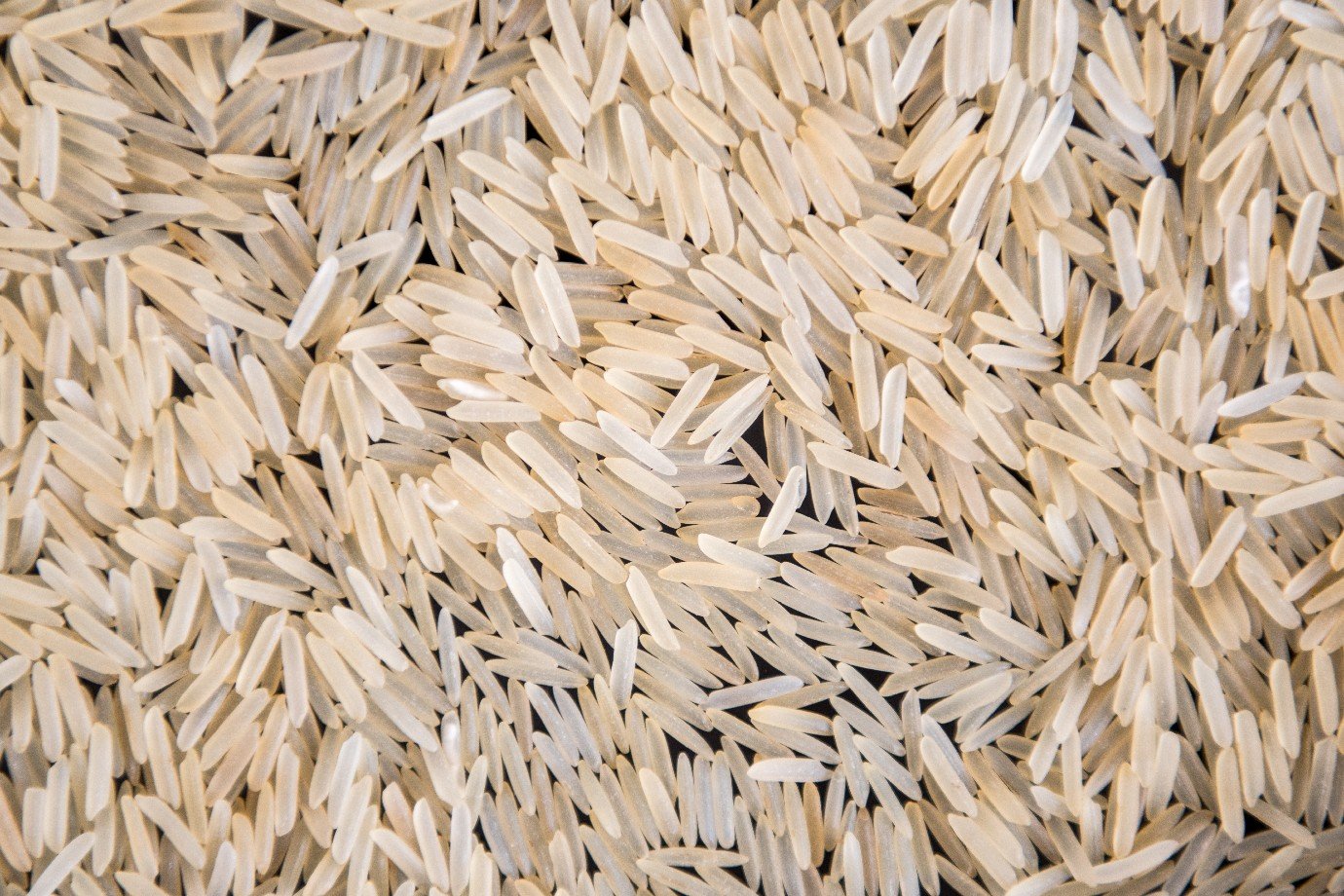 Camil (CAML3) conclui aquisições no Paraguai e vai operar no mercado de arroz do país vizinho
