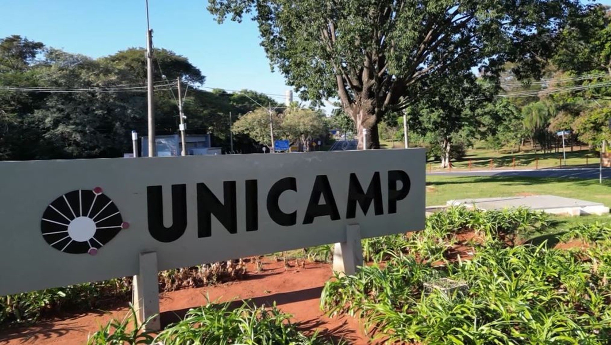Unicamp abre inscrições para vestibular com base na nota do Enem; edição terá cotas para pessoas trans